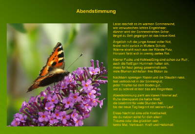 Abendstimmung