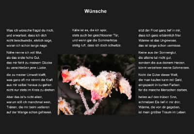 Wuensche