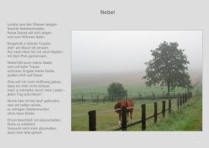 Nebel