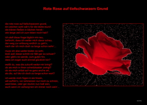 Rote Rose