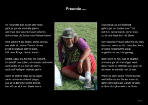 Freunde