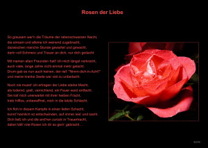 Rosen der Liebe